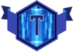 TECHNOLOGY AND SECURITY COMPANY